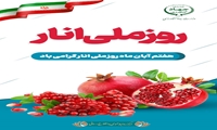 7 آبان روز ملی انار